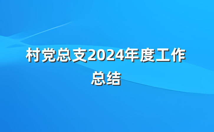 村党总支2024年度工作总结