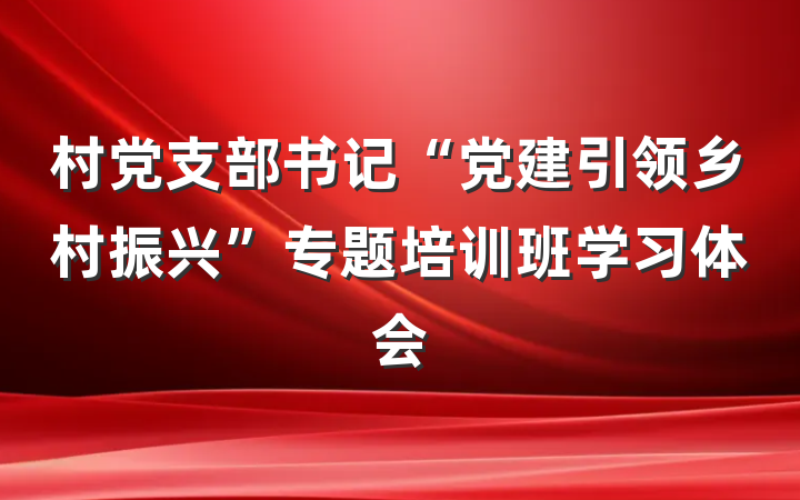 村党支部书记“党建引领乡村振兴”专题培训班学习体会