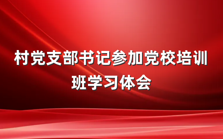村党支部书记参加党校培训班学习体会