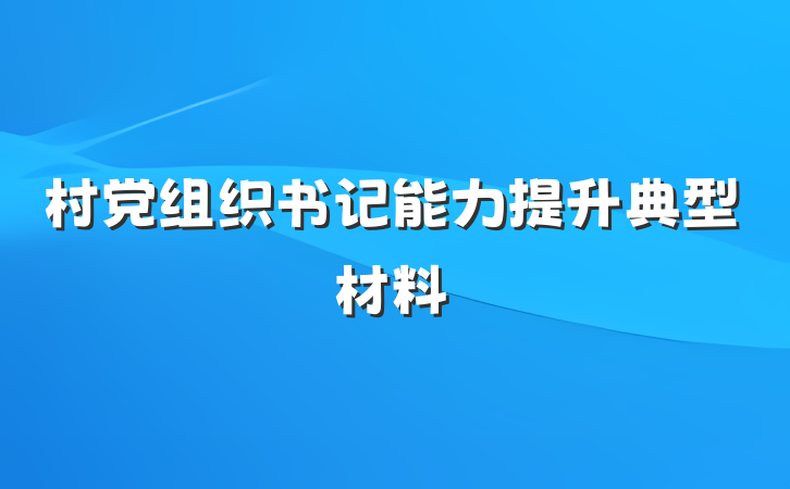 村党组织书记能力提升典型材料