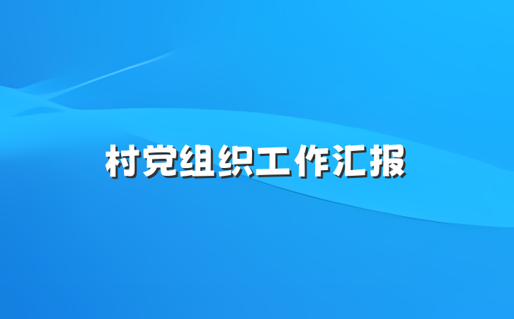 村党组织工作汇报