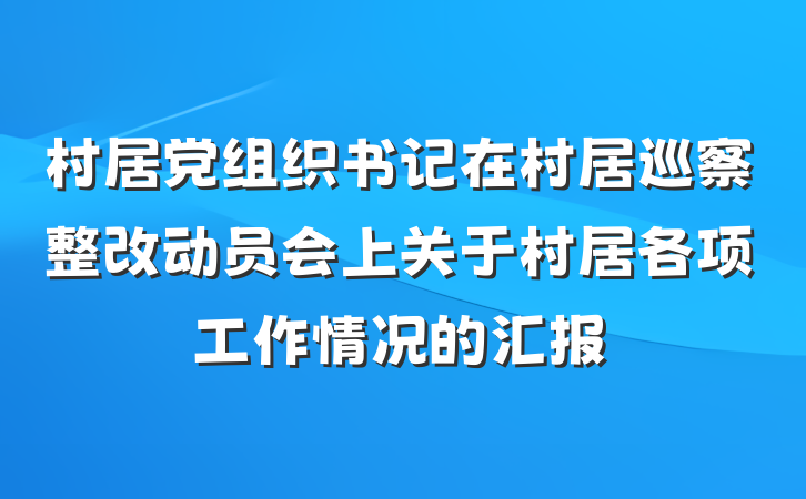 村居党组织书记在村居巡察整改动员会上关于村居各项工作情况的汇报