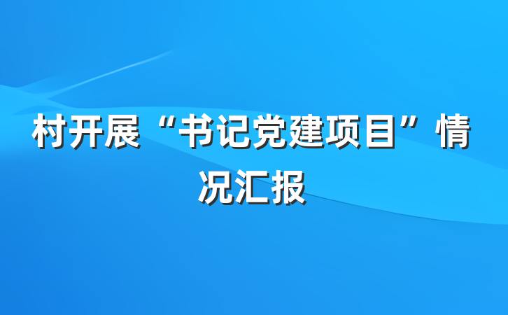 村开展“书记党建项目”情况汇报