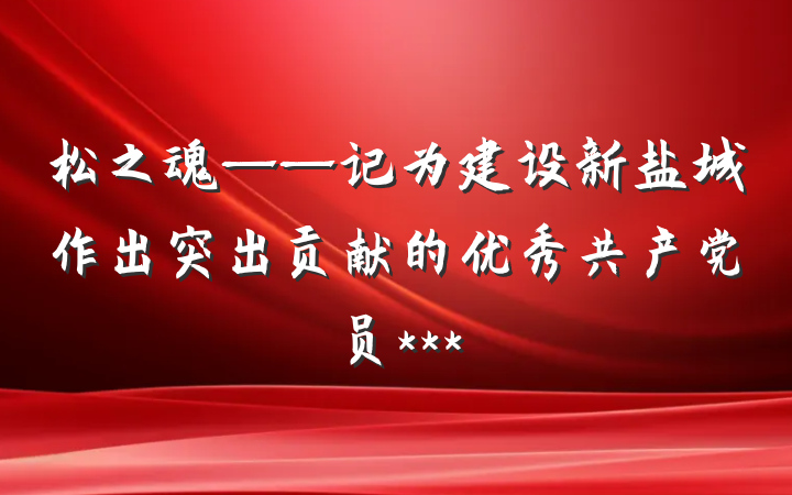 松之魂——记为建设新盐城作出突出贡献的优秀共产党员***