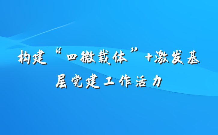 构建“四微载体” 激发基层党建工作活力