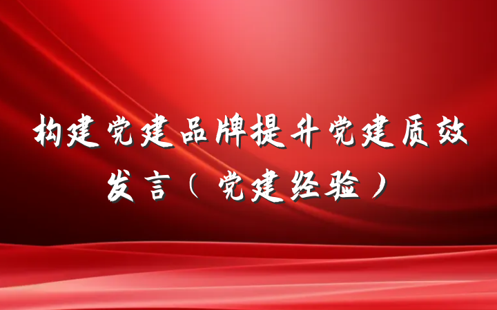 构建党建品牌提升党建质效发言（党建经验）