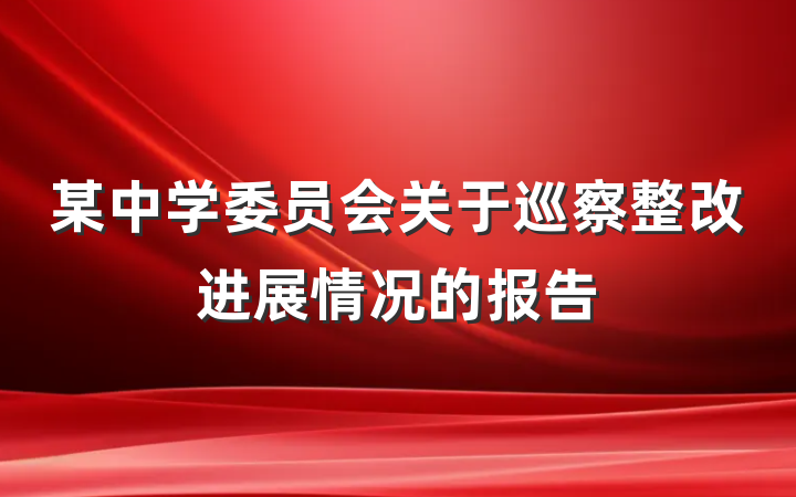 某中学委员会关于巡察整改进展情况的报告