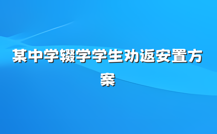 某中学辍学学生劝返安置方案