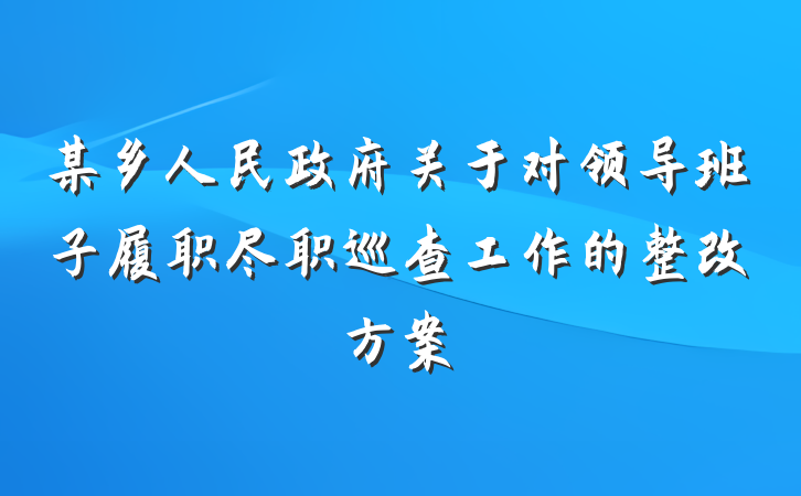 某乡人民政府关于对领导班子履职尽职巡查工作的整改方案