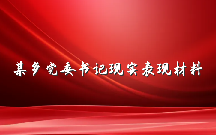 某乡党委书记现实表现材料