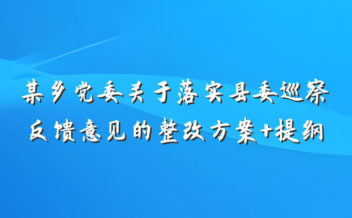 某乡党委关于落实县委巡察反馈意见的整改方案 提纲