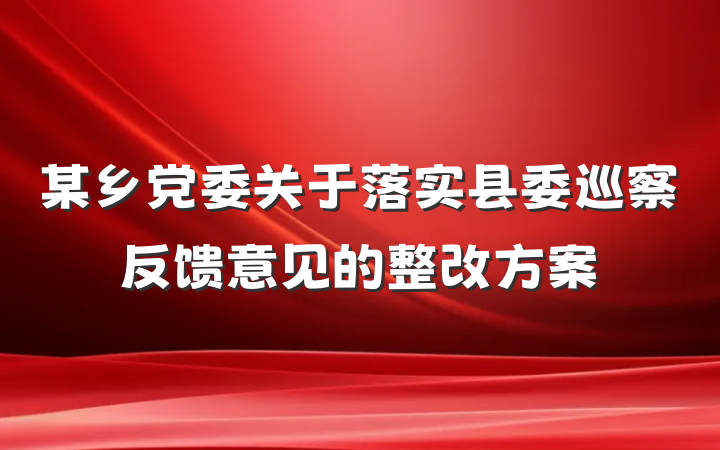 某乡党委关于落实县委巡察反馈意见的整改方案