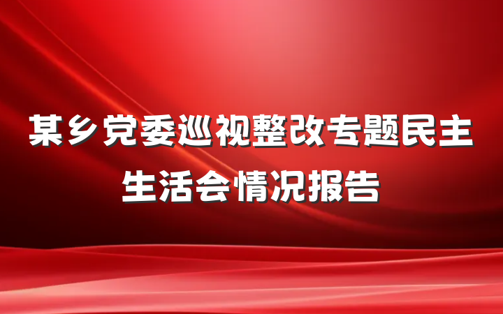 某乡党委巡视整改专题民主生活会情况报告