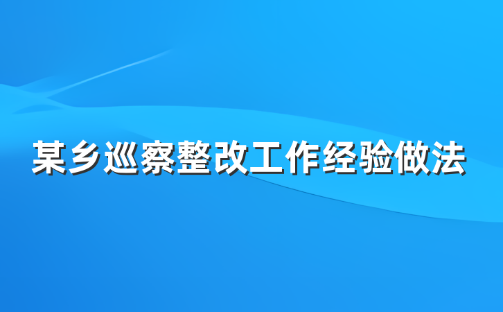 某乡巡察整改工作经验做法