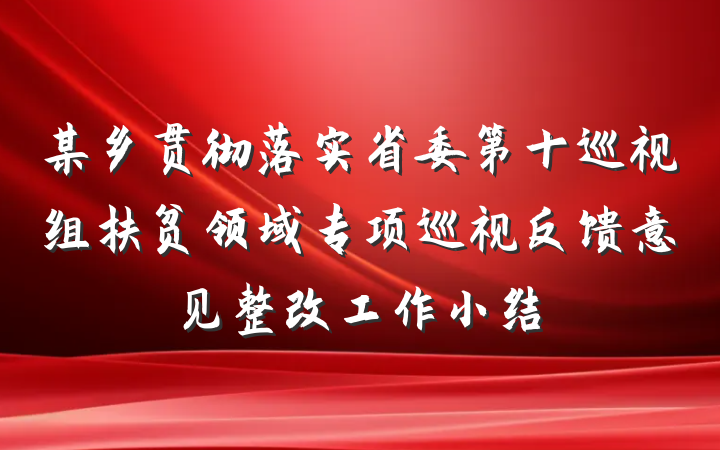 某乡贯彻落实省委第十巡视组扶贫领域专项巡视反馈意见整改工作小结