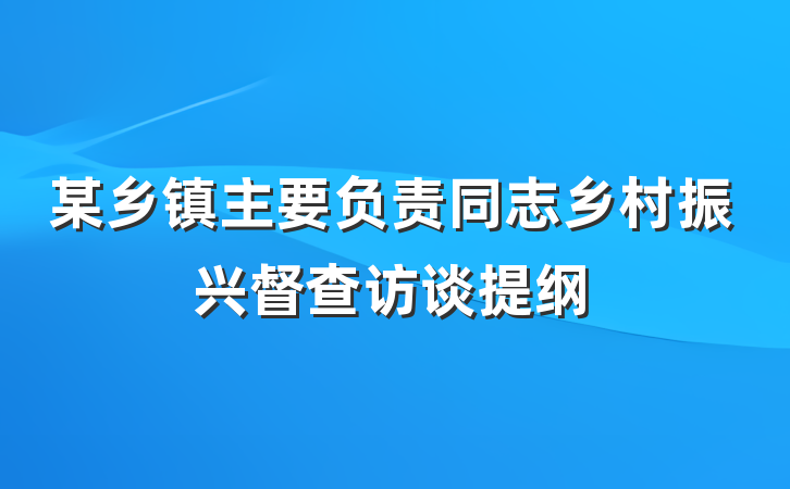 某乡镇主要负责同志乡村振兴督查访谈提纲