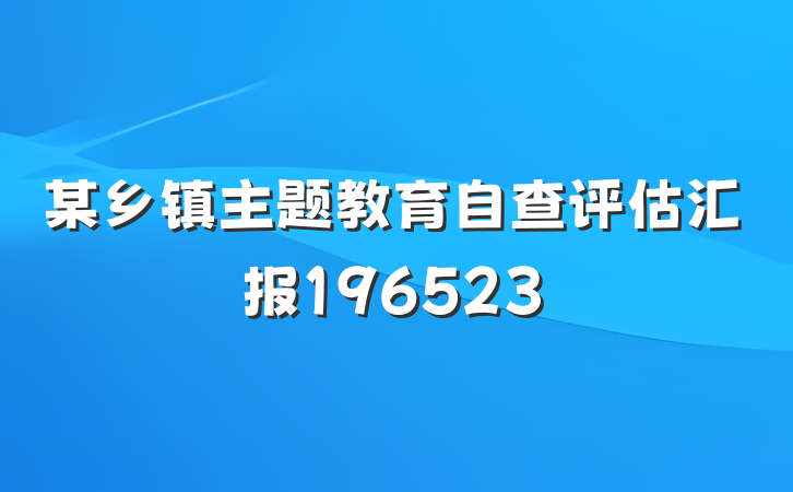 某乡镇主题教育自查评估汇报196523