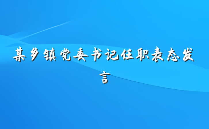 某乡镇党委书记任职表态发言