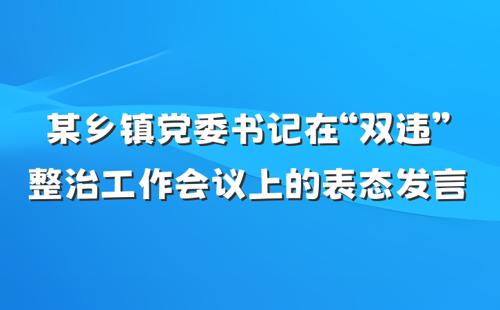 某乡镇党委书记在“双违”整治工作会议上的表态发言