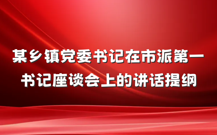 某乡镇党委书记在市派第一书记座谈会上的讲话提纲
