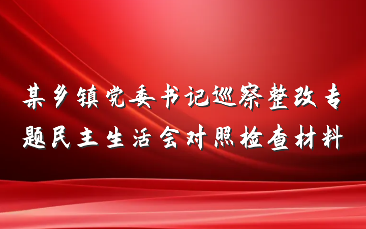 某乡镇党委书记巡察整改专题民主生活会对照检查材料