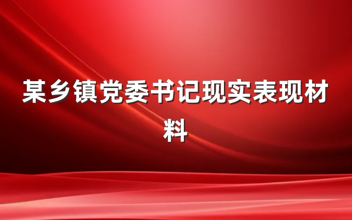 某乡镇党委书记现实表现材料