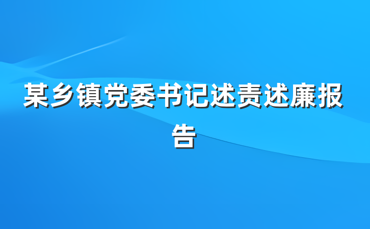 某乡镇党委书记述责述廉报告