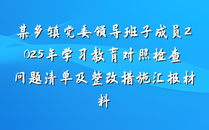 某乡镇党委领导班子成员2025年学习教育对照检查问题清单及整改措施汇报材料
