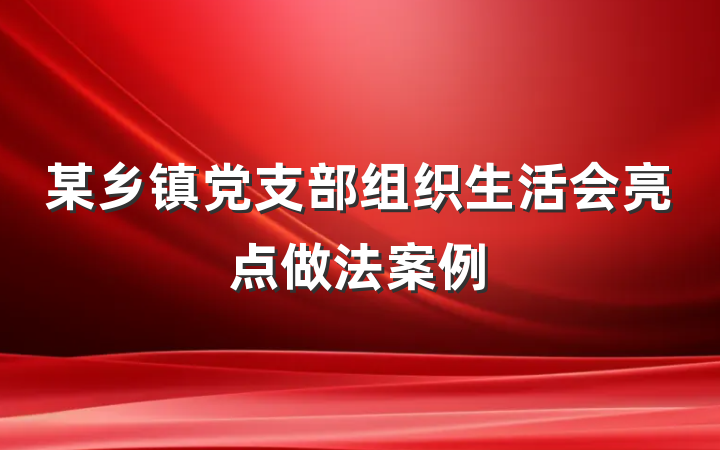 某乡镇党支部组织生活会亮点做法案例