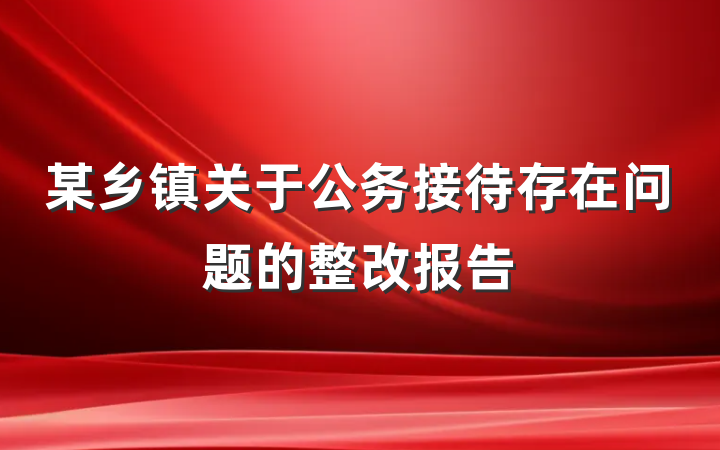 某乡镇关于公务接待存在问题的整改报告