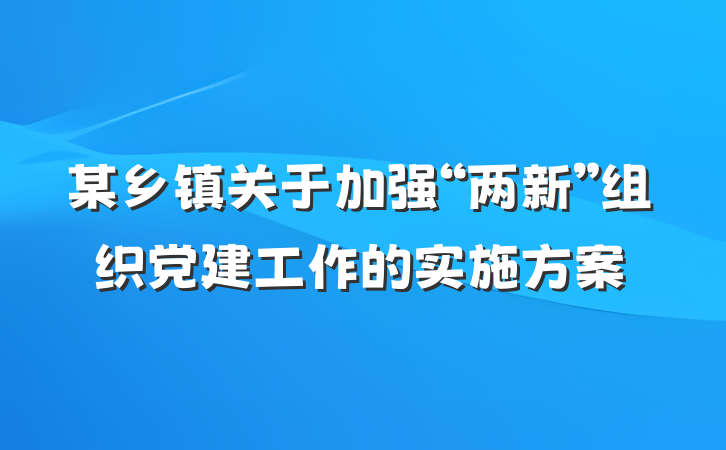 某乡镇关于加强“两新”组织党建工作的实施方案