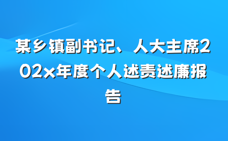 某乡镇副书记、人大主席202x年度个人述责述廉报告