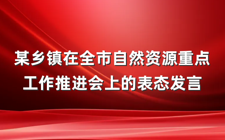 某乡镇在全市自然资源重点工作推进会上的表态发言