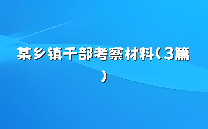 某乡镇干部考察材料（3篇）