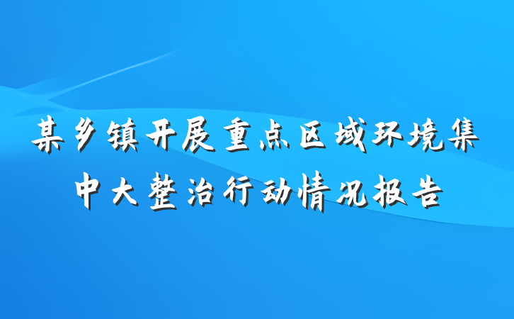 某乡镇开展重点区域环境集中大整治行动情况报告