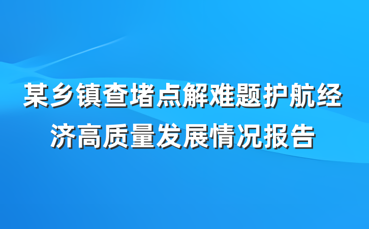某乡镇查堵点解难题护航经济高质量发展情况报告