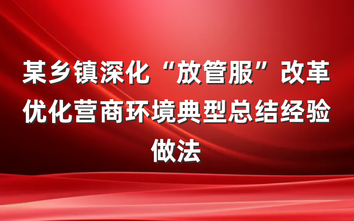 某乡镇深化“放管服”改革优化营商环境典型总结经验做法