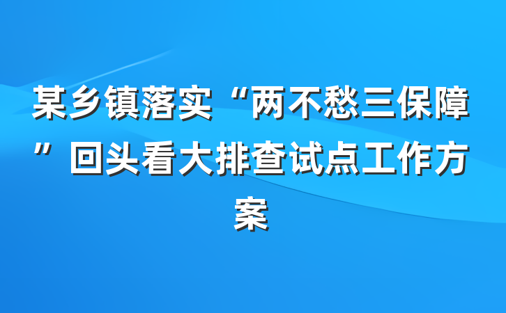 某乡镇落实“两不愁三保障”回头看大排查试点工作方案