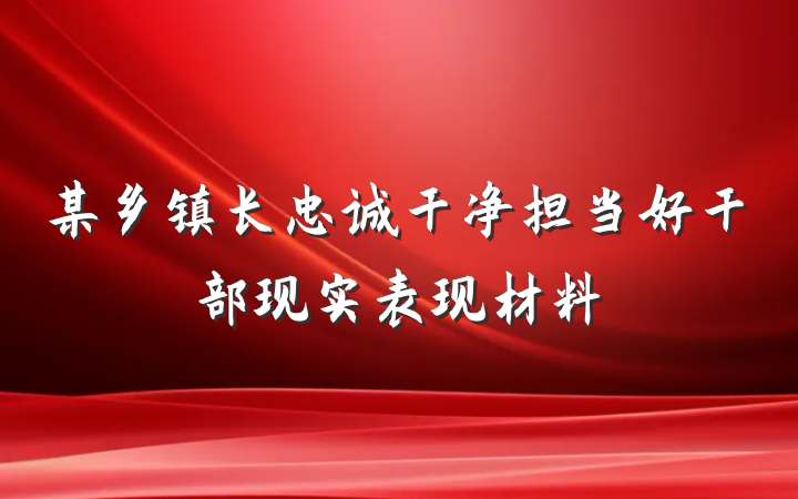 某乡镇长忠诚干净担当好干部现实表现材料