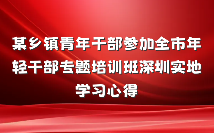 某乡镇青年干部参加全市年轻干部专题培训班深圳实地学习心得