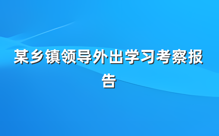 某乡镇领导外出学习考察报告