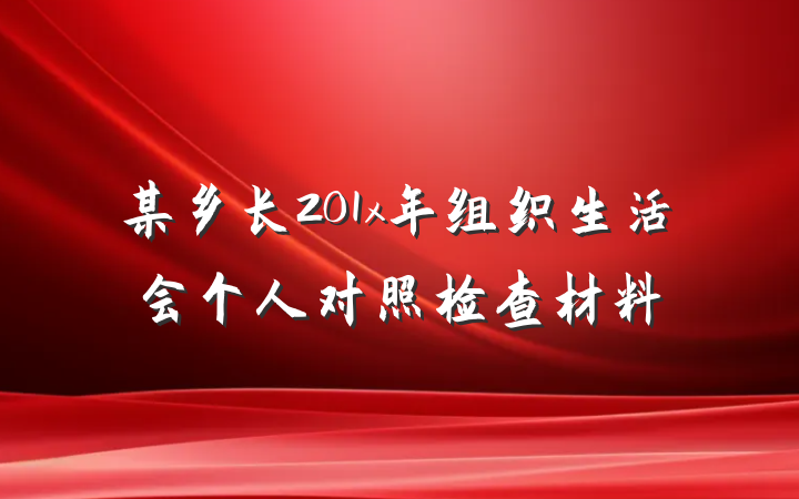 某乡长201x年组织生活会个人对照检查材料