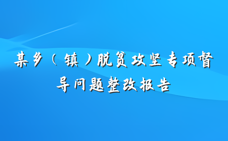 某乡（镇）脱贫攻坚专项督导问题整改报告