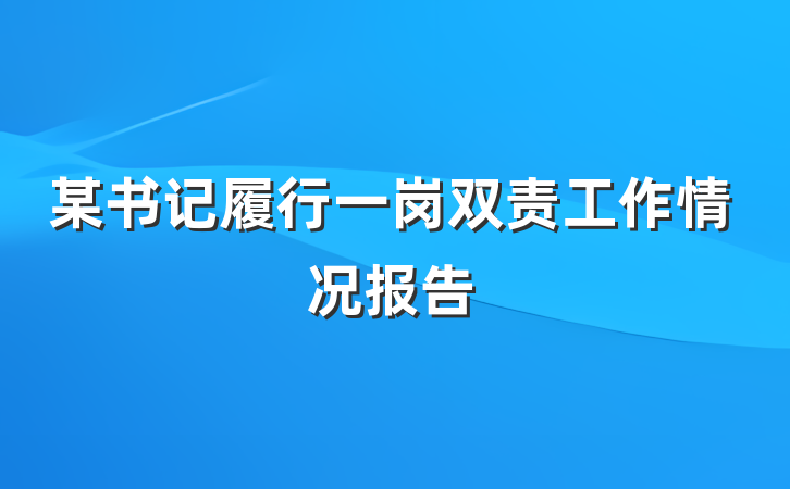 某书记履行一岗双责工作情况报告