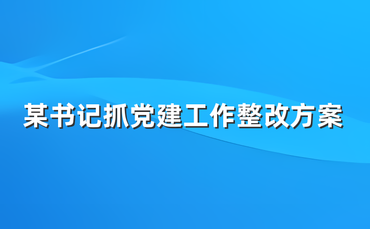 某书记抓党建工作整改方案
