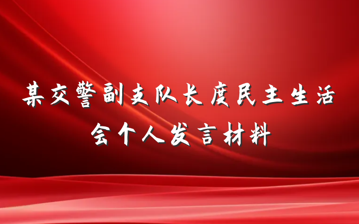 某交警副支队长度民主生活会个人发言材料