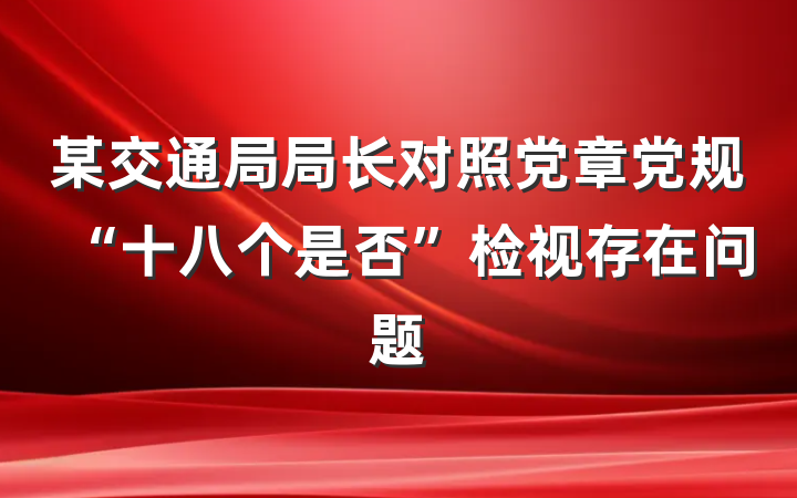 某交通局局长对照党章党规“十八个是否”检视存在问题