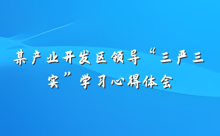 某产业开发区领导“三严三实”学习心得体会