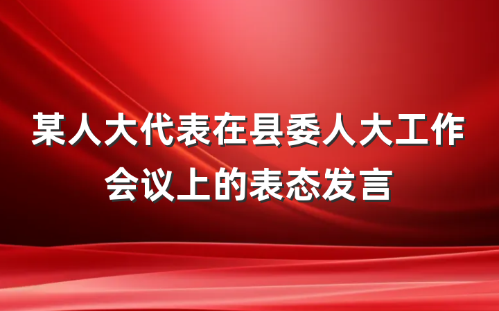 某人大代表在县委人大工作会议上的表态发言
