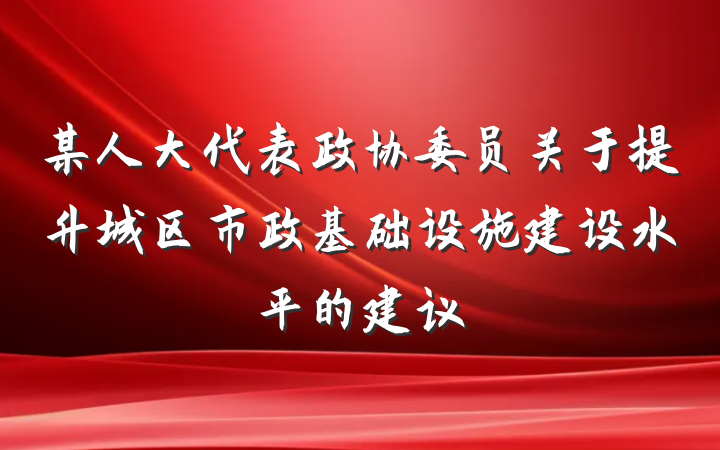 某人大代表政协委员关于提升城区市政基础设施建设水平的建议